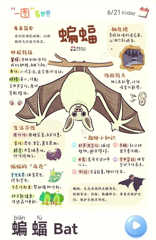 宠物森林攻略?宠物森林练级路线-第7张图片-93游戏 宠物森林攻略?宠物森林练级路线-第7张图片-93游戏
