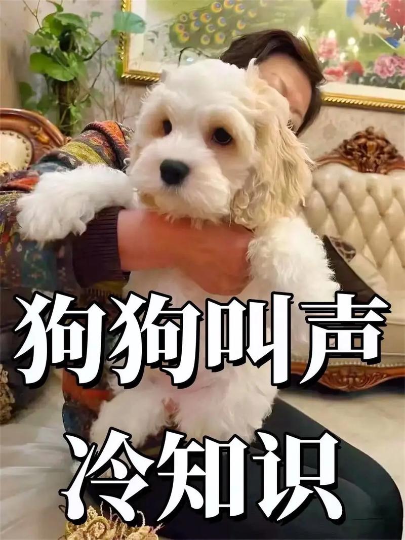 爱大狗技能?大狗加点?-第3张图片-93游戏 爱大狗技能?大狗加点?-第3张图片-93游戏
