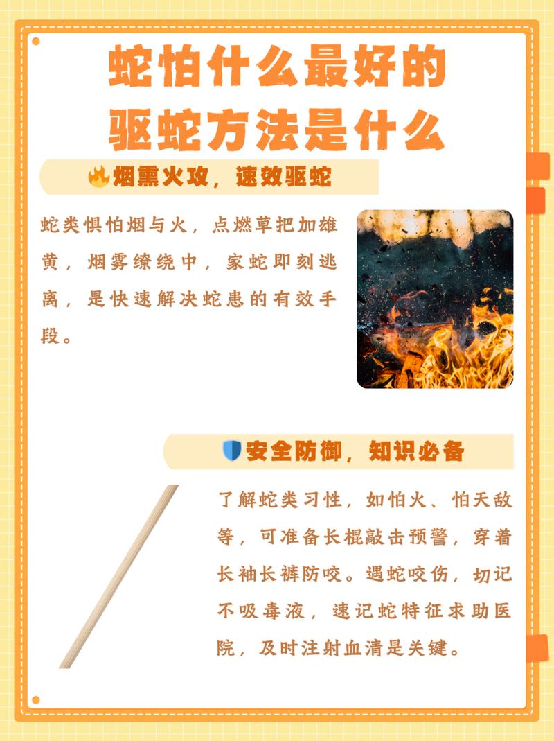蛇他虫攻略,蛇它虫一共多少关-第4张图片-93游戏 蛇他虫攻略,蛇它虫一共多少关-第4张图片-93游戏
