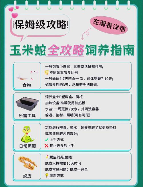 蛇他虫攻略,蛇它虫一共多少关-第7张图片-93游戏 蛇他虫攻略,蛇它虫一共多少关-第7张图片-93游戏