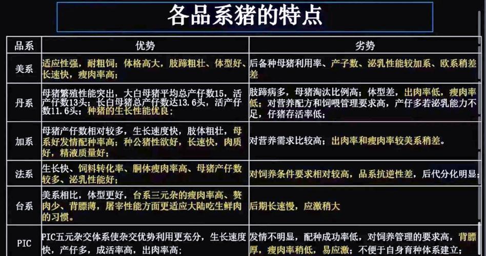 小猪的技能,小猪的技能有哪些?-第5张图片-93游戏 小猪的技能,小猪的技能有哪些?-第5张图片-93游戏