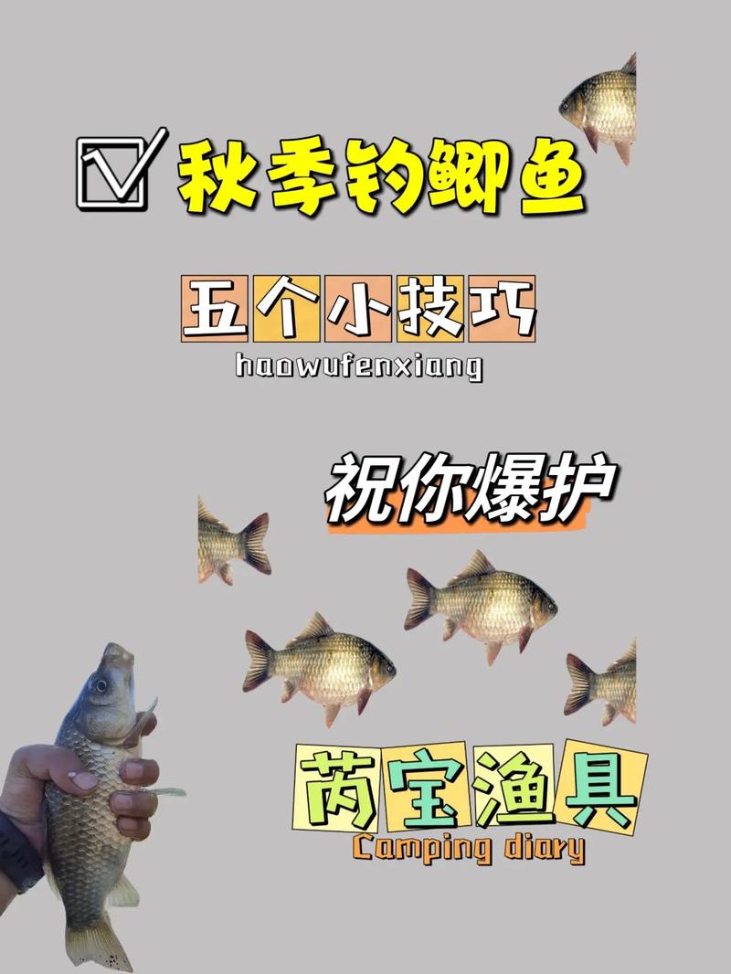钓鲫鱼攻略,钓鲫鱼妙招-第2张图片-93游戏 钓鲫鱼攻略,钓鲫鱼妙招-第2张图片-93游戏