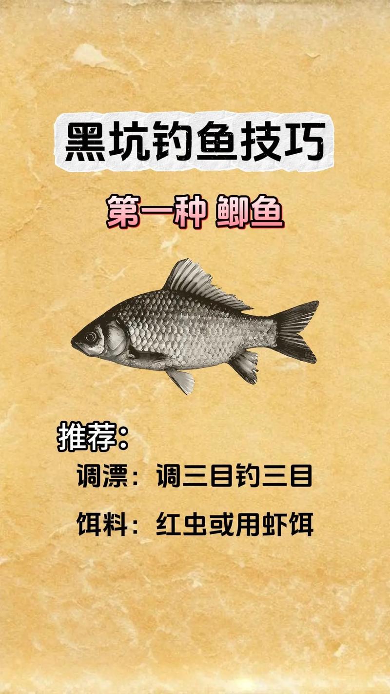 钓鲫鱼攻略,钓鲫鱼妙招-第5张图片-93游戏 钓鲫鱼攻略,钓鲫鱼妙招-第5张图片-93游戏