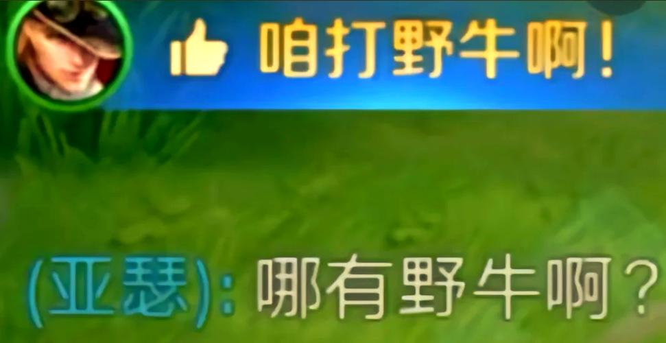 瞎子w技能,瞎子输出手法-第1张图片-93游戏 瞎子w技能,瞎子输出手法-第1张图片-93游戏