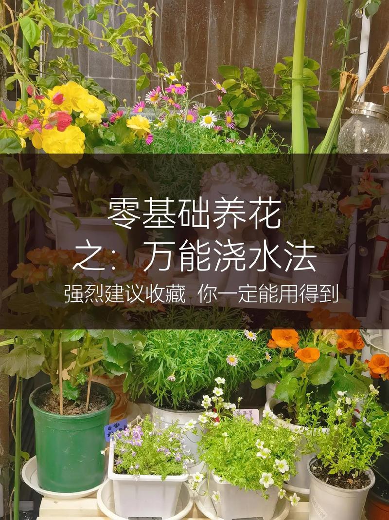 蓝精灵村庄任务攻略?蓝精灵村庄怎样布置才好看?-第4张图片-93游戏 蓝精灵村庄任务攻略?蓝精灵村庄怎样布置才好看?-第4张图片-93游戏