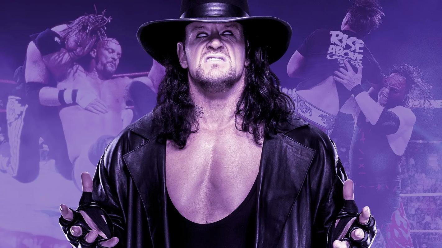 wwe技能大全?wwe技能名称-第5张图片-93游戏 wwe技能大全?wwe技能名称-第5张图片-93游戏