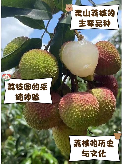 二灵山攻略?二灵山温泉男女分开泡吗?-第4张图片-93游戏 二灵山攻略?二灵山温泉男女分开泡吗?-第4张图片-93游戏