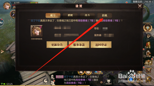风暴挂机攻略？风暴挂机vip免费攻略？-第3张图片-93游戏