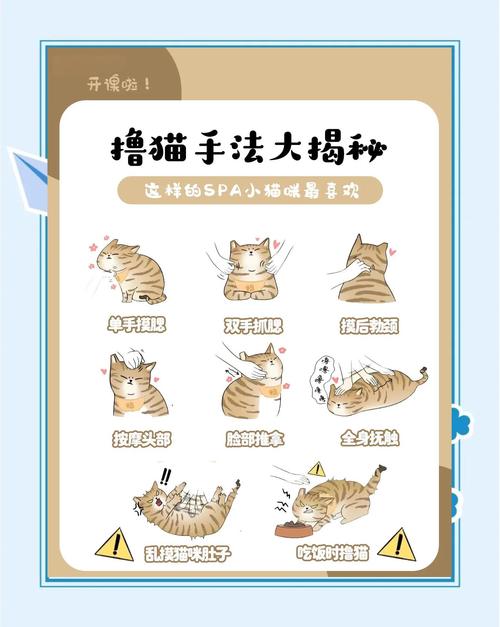 星妈e技能,星妈改版前技能-第6张图片-93游戏 星妈e技能,星妈改版前技能-第6张图片-93游戏