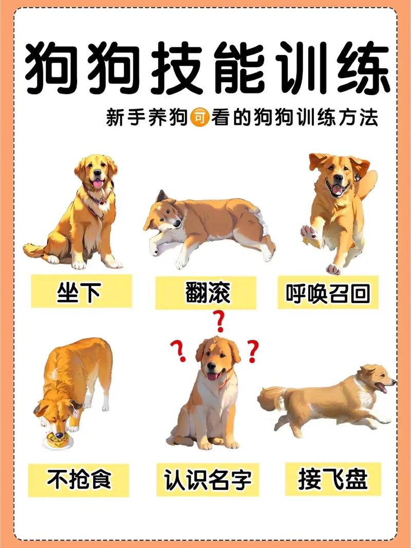 狗训练技能?狗狗训练技能有哪些?-第2张图片-93游戏 狗训练技能?狗狗训练技能有哪些?-第2张图片-93游戏