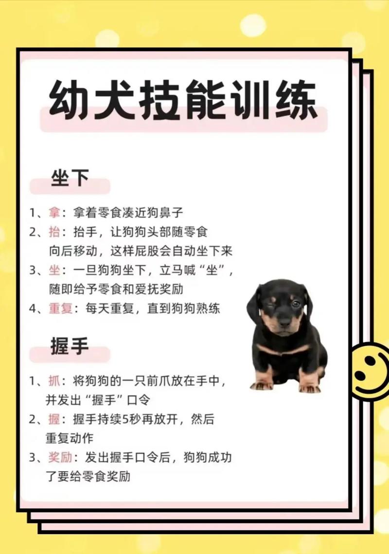 狗训练技能?狗狗训练技能有哪些?-第3张图片-93游戏 狗训练技能?狗狗训练技能有哪些?-第3张图片-93游戏