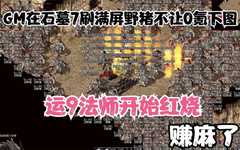 刷野猪攻略?野猪刷新?-第2张图片-93游戏 刷野猪攻略?野猪刷新?-第2张图片-93游戏