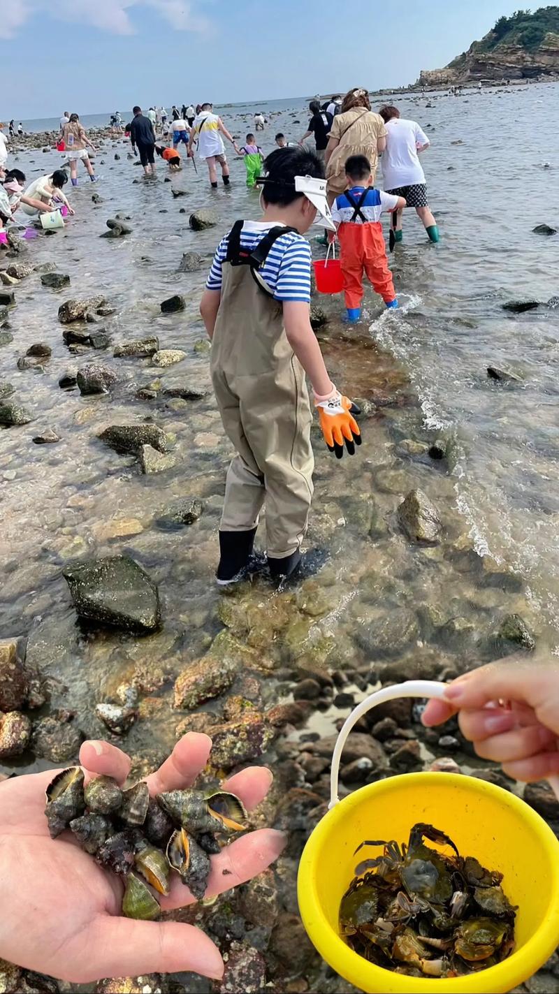 北海8攻略?北海攻略二日游?-第4张图片-93游戏 北海8攻略?北海攻略二日游?-第4张图片-93游戏