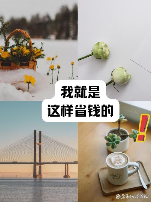 穷主妇的省钱攻略,穷主妇的省钱生活-第7张图片-93游戏 穷主妇的省钱攻略,穷主妇的省钱生活-第7张图片-93游戏