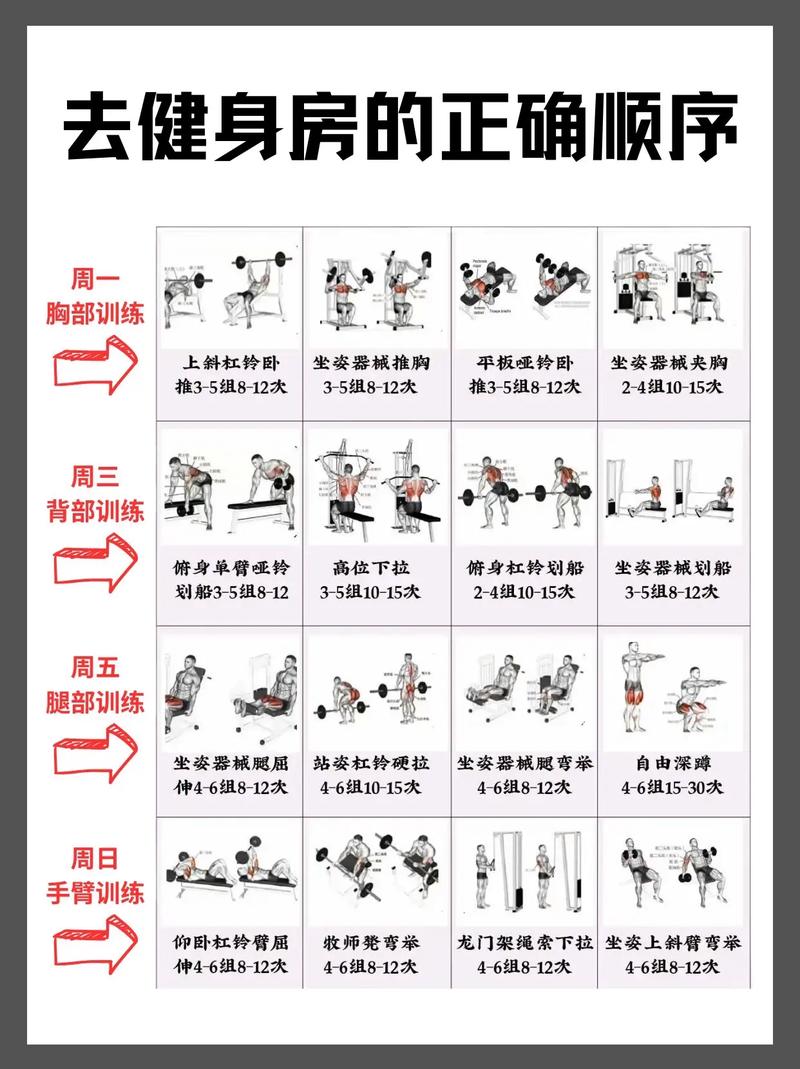 去健身房攻略？去健身房的健身步骤？-第5张图片-93游戏