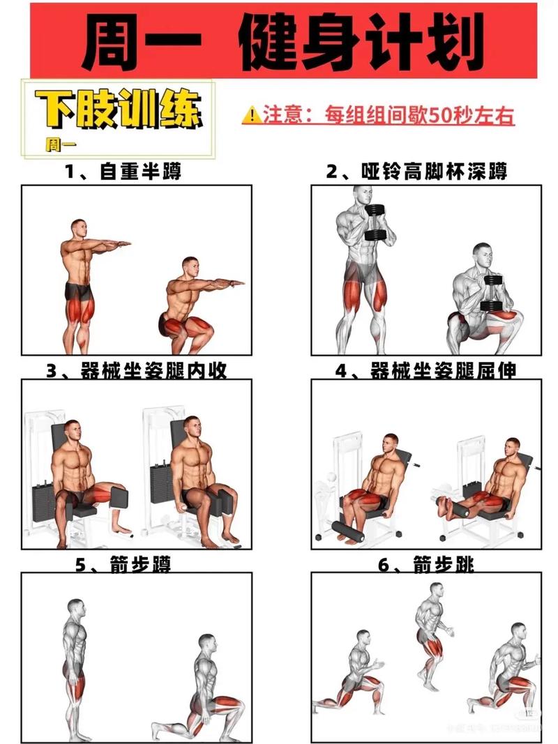 去健身房攻略？去健身房的健身步骤？-第6张图片-93游戏