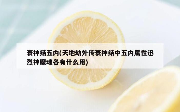 寰神结技能?寰神结最强装备-第1张图片-93游戏 寰神结技能?寰神结最强装备-第1张图片-93游戏