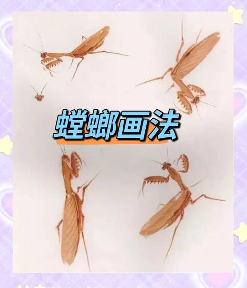 螳螂技能介绍s7,孤立无援螳螂技能介绍-第3张图片-93游戏 螳螂技能介绍s7,孤立无援螳螂技能介绍-第3张图片-93游戏