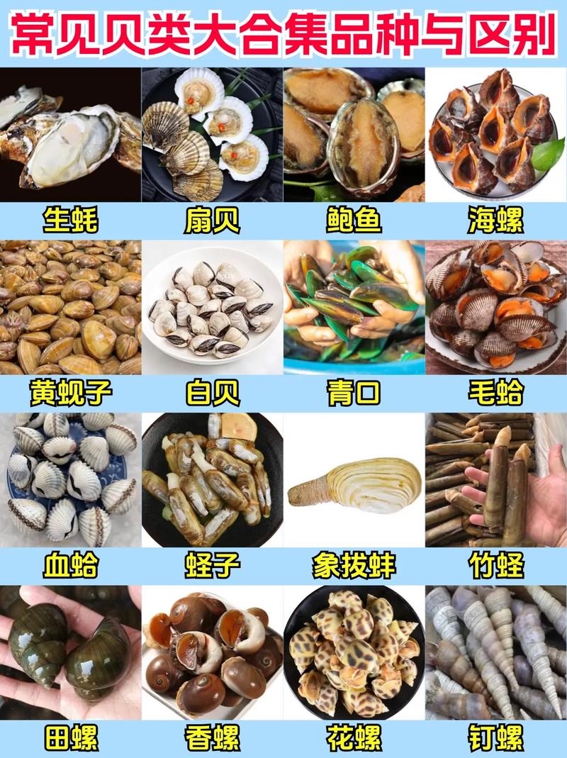 铁甲贝技能?铁甲贝技能等级-第8张图片-93游戏 铁甲贝技能?铁甲贝技能等级-第8张图片-93游戏