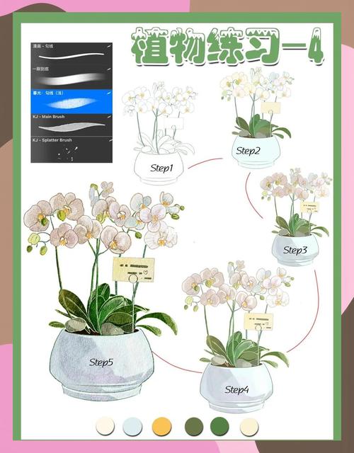 植物进阶攻略？植物进阶需要多少个碎片-第3张图片-93游戏