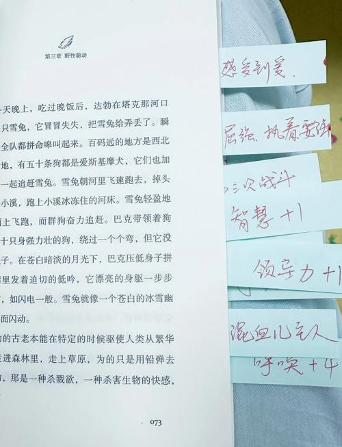 猎人野性呼唤攻略?猎人野性的呼唤怎么打高分?-第3张图片-93游戏 猎人野性呼唤攻略?猎人野性的呼唤怎么打高分?-第3张图片-93游戏