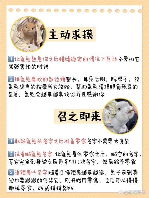 长耳兔的技能,长耳兔特性哪个好-第1张图片-93游戏 长耳兔的技能,长耳兔特性哪个好-第1张图片-93游戏