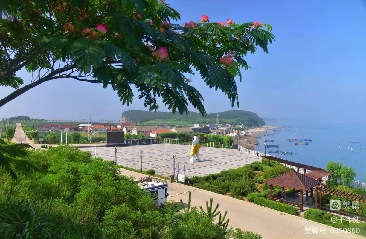 交流岛攻略？交流岛在哪？-第3张图片-93游戏