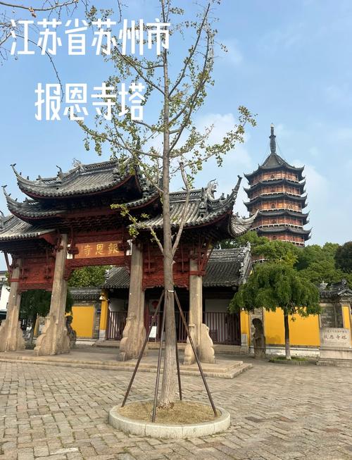 养育之恩攻略，养育之恩这个牌子怎么样-第1张图片-93游戏