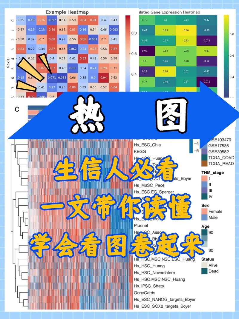 关于poi技能的信息-第8张图片-93游戏 关于poi技能的信息-第8张图片-93游戏