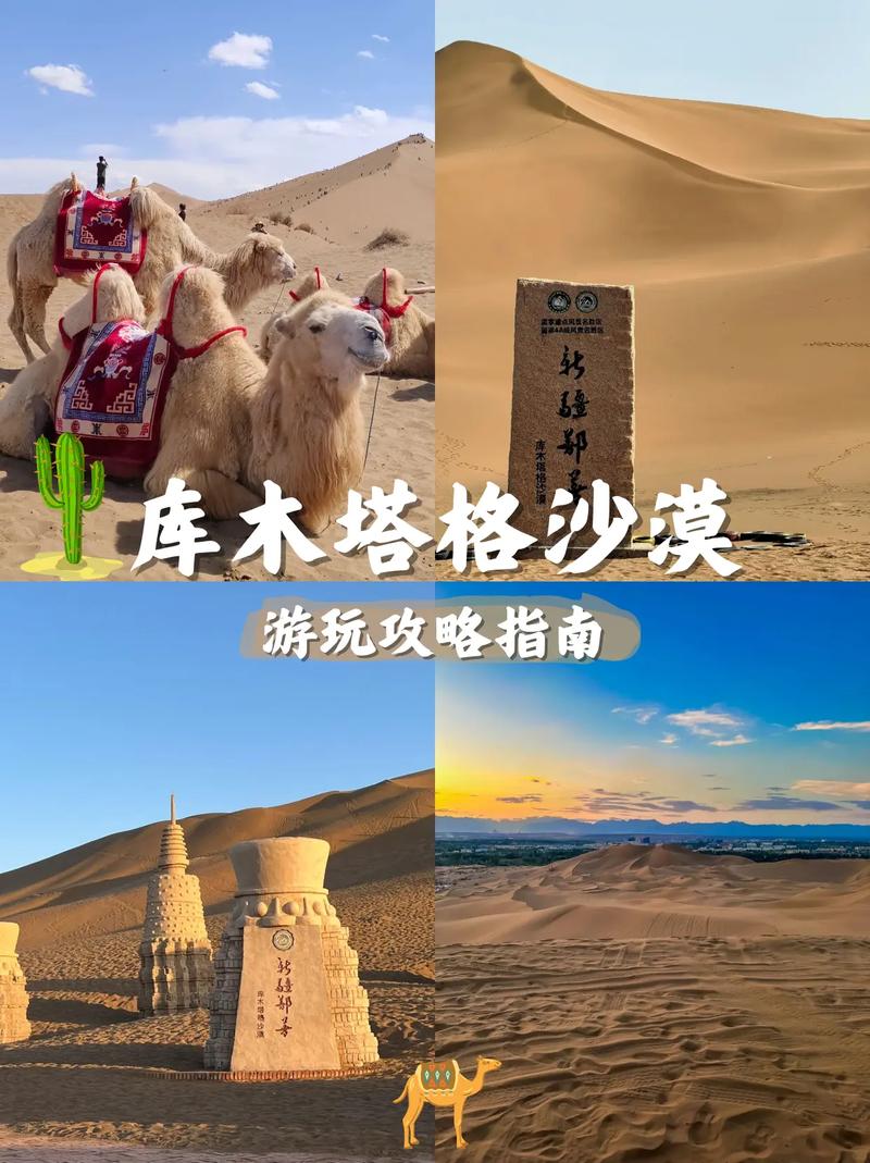 猎人小屋攻略,猎人小屋的相机-第2张图片-93游戏 猎人小屋攻略,猎人小屋的相机-第2张图片-93游戏