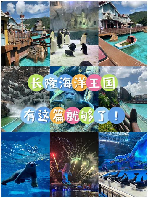 企鹅餐厅攻略,企鹅餐厅任务攻略-第4张图片-93游戏 企鹅餐厅攻略,企鹅餐厅任务攻略-第4张图片-93游戏