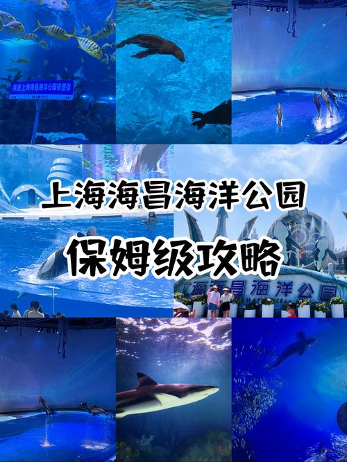 企鹅餐厅攻略,企鹅餐厅任务攻略-第6张图片-93游戏 企鹅餐厅攻略,企鹅餐厅任务攻略-第6张图片-93游戏
