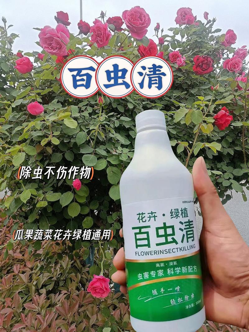 东仙要技能?东仙要12阶-第6张图片-93游戏 东仙要技能?东仙要12阶-第6张图片-93游戏