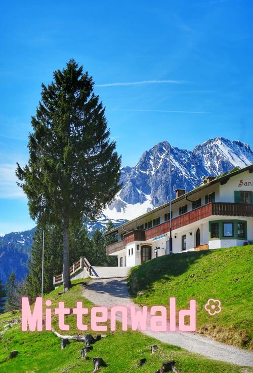 阿尔卑斯山攻略,阿尔卑斯山旅游项目-第2张图片-93游戏 阿尔卑斯山攻略,阿尔卑斯山旅游项目-第2张图片-93游戏