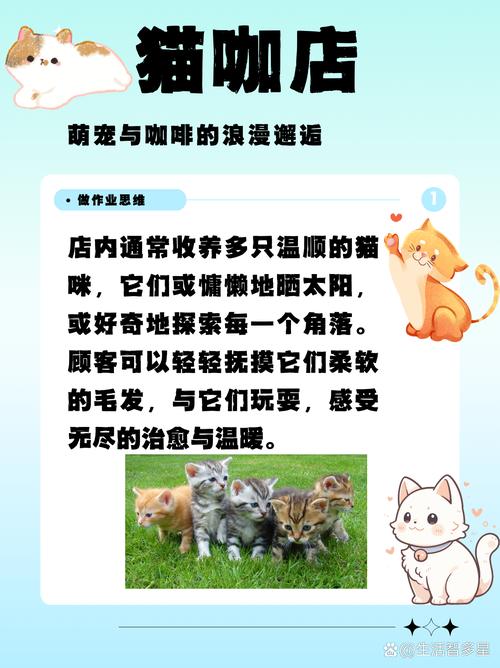 猫咖啡馆攻略,猫咖啡馆馆主-第3张图片-93游戏 猫咖啡馆攻略,猫咖啡馆馆主-第3张图片-93游戏