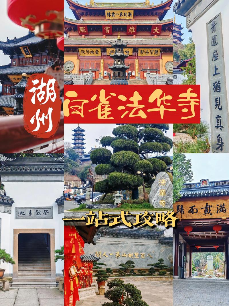 手机版白雀攻略,白雀游戏图文攻略-第5张图片-93游戏 手机版白雀攻略,白雀游戏图文攻略-第5张图片-93游戏