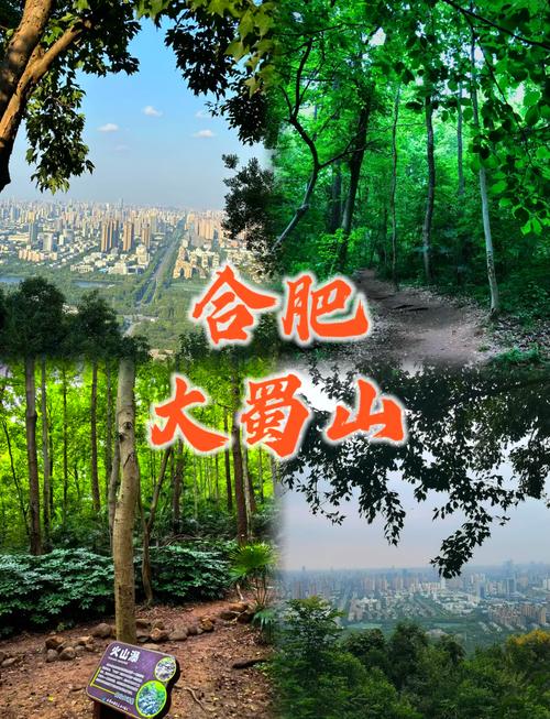 大蜀山攻略,大蜀山从哪进-第4张图片-93游戏 大蜀山攻略,大蜀山从哪进-第4张图片-93游戏