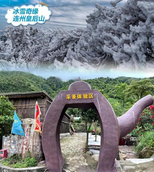 皇后山攻略?皇后村在哪里-第6张图片-93游戏 皇后山攻略?皇后村在哪里-第6张图片-93游戏