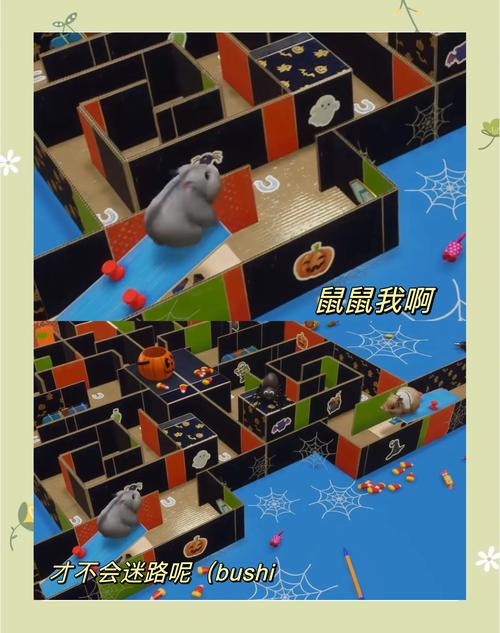 仓鼠游戏攻略,仓鼠的曰常游戏-第5张图片-93游戏 仓鼠游戏攻略,仓鼠的曰常游戏-第5张图片-93游戏