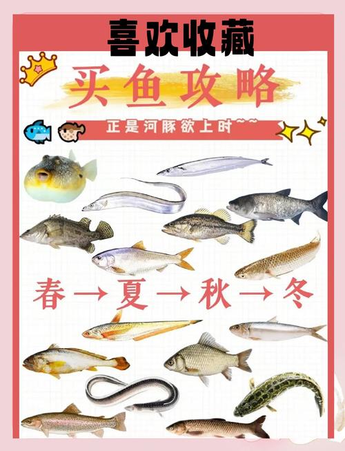 卖鱼技能?卖鱼的专业术语?-第2张图片-93游戏 卖鱼技能?卖鱼的专业术语?-第2张图片-93游戏