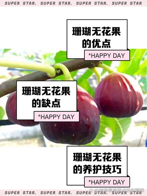 无花果攻略?无花果的攻略-第2张图片-93游戏 无花果攻略?无花果的攻略-第2张图片-93游戏