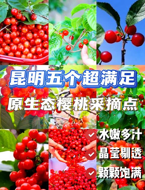 无花果攻略?无花果的攻略-第3张图片-93游戏 无花果攻略?无花果的攻略-第3张图片-93游戏