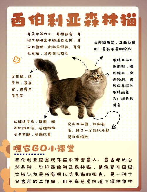 西伯利亚3攻略?ps4西伯利亚3?-第3张图片-93游戏 西伯利亚3攻略?ps4西伯利亚3?-第3张图片-93游戏