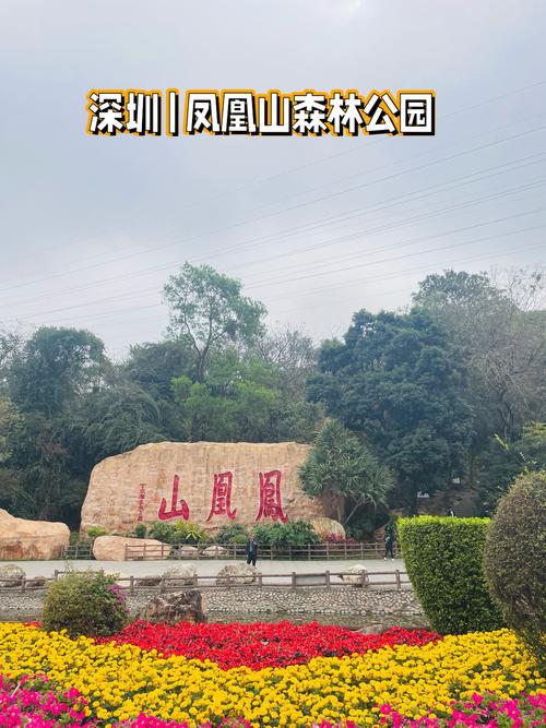 深圳凤凰山攻略路线图,深圳凤凰山风景区-第1张图片-93游戏 深圳凤凰山攻略路线图,深圳凤凰山风景区-第1张图片-93游戏