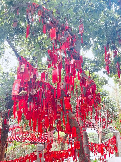 深圳凤凰山攻略路线图,深圳凤凰山风景区-第3张图片-93游戏 深圳凤凰山攻略路线图,深圳凤凰山风景区-第3张图片-93游戏