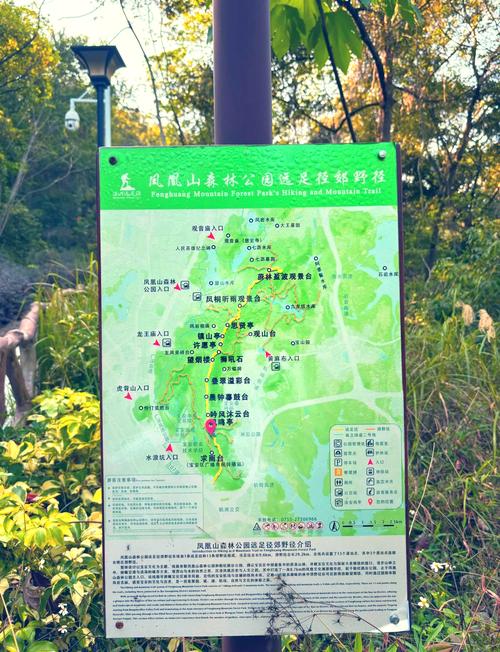 深圳凤凰山攻略路线图,深圳凤凰山风景区-第5张图片-93游戏 深圳凤凰山攻略路线图,深圳凤凰山风景区-第5张图片-93游戏