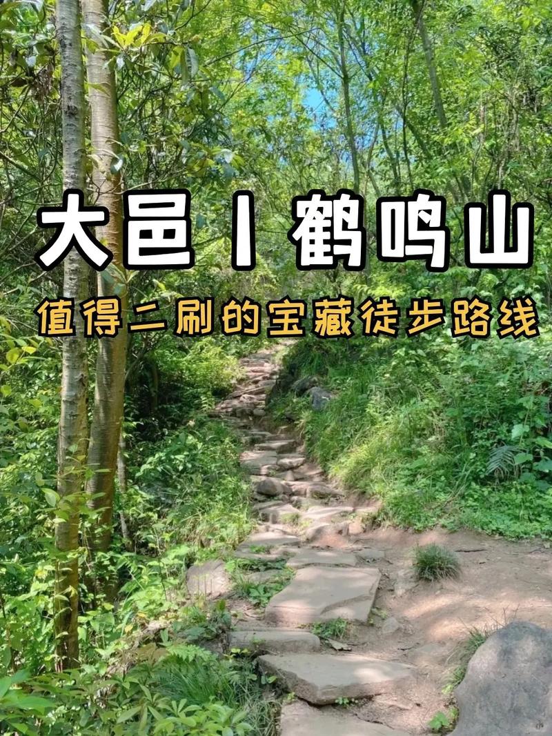 鹤鸣山攻略?鹤鸣山要门票吗?-第2张图片-93游戏 鹤鸣山攻略?鹤鸣山要门票吗?-第2张图片-93游戏