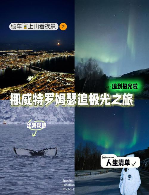 极光图文攻略?极光石 攻略-第8张图片-93游戏 极光图文攻略?极光石 攻略-第8张图片-93游戏