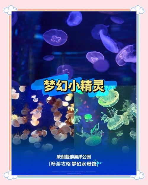 梦幻海底攻略,梦幻西游的海底迷宫在哪里-第5张图片-93游戏 梦幻海底攻略,梦幻西游的海底迷宫在哪里-第5张图片-93游戏