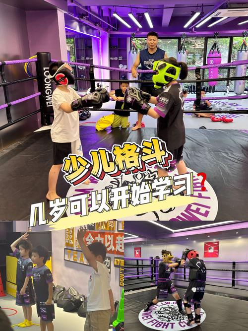 mma技能,mma技能名称-第2张图片-93游戏 mma技能,mma技能名称-第2张图片-93游戏